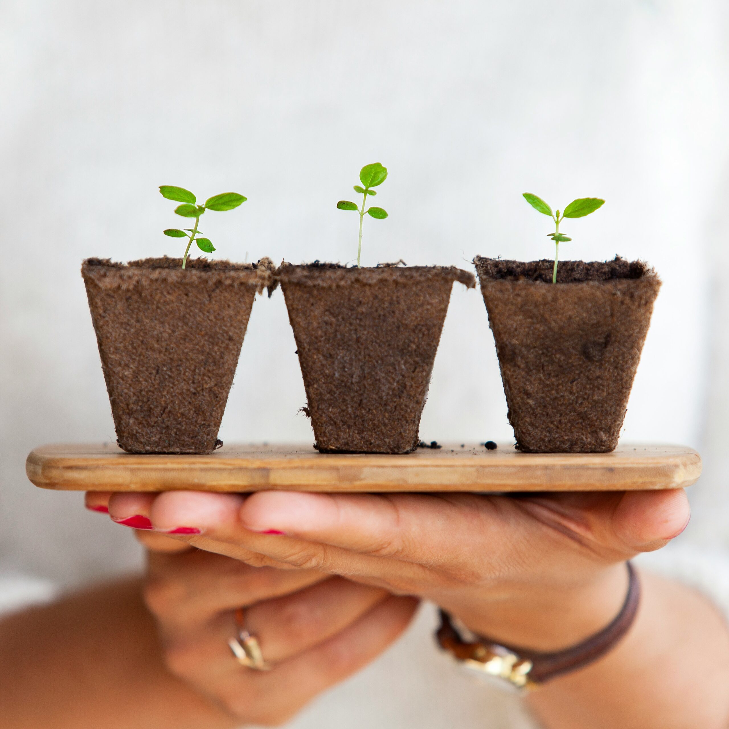 Why Personal Growth Isn’t What You Think It Is