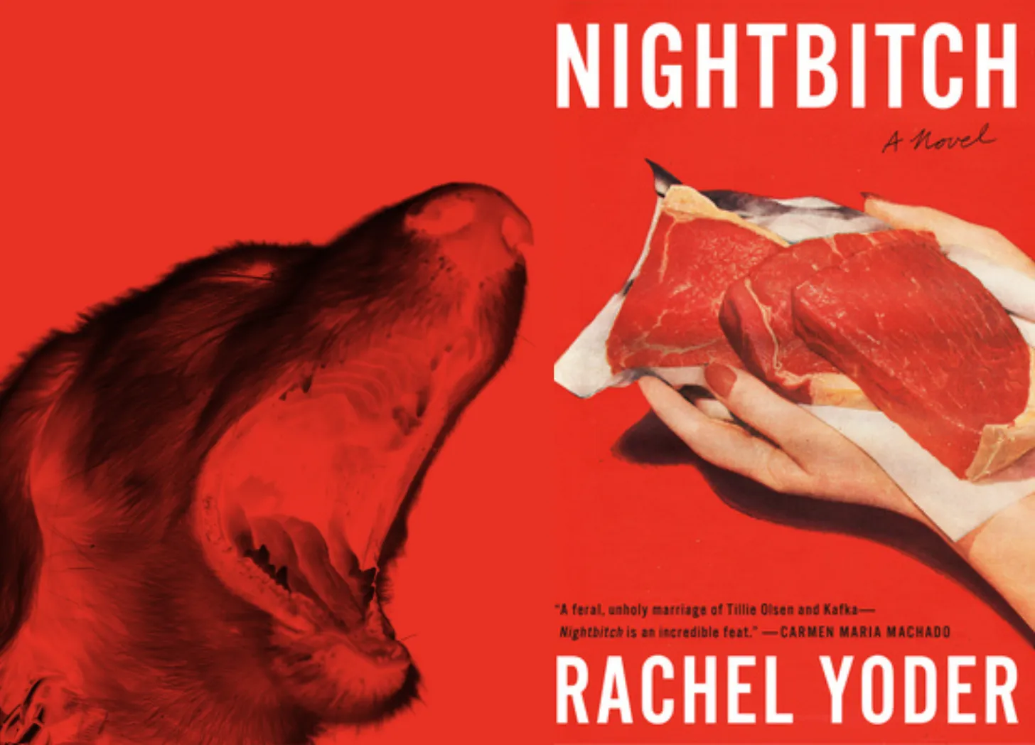 The Most Emotionally Resonant Book I’ve Read This Year is About a Woman Who Thinks She’s Turning Into a Dog